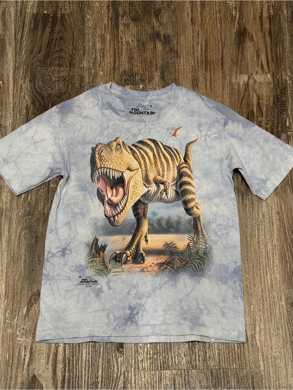 The Mountain T-Rex Dinosaur Kid's T-Shirt Light Blue/white Graphic Tee size M